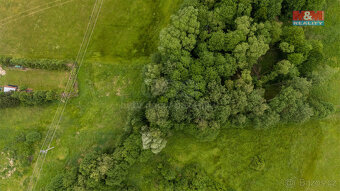 Prodej louky, 4178 m², Dětřichov - 4