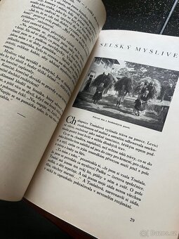 Šumavský prales od Josefa Pavla - 4