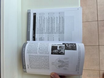 Velká kniha posilování - 4