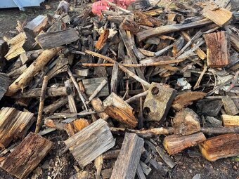 Palivové dříví. Úklid 500kč/m - 4