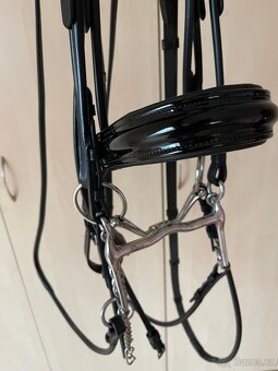 Uzda včetně udidel a otěží - 4