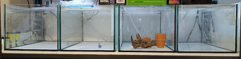 Akvária - 58x36x30 cm - 4