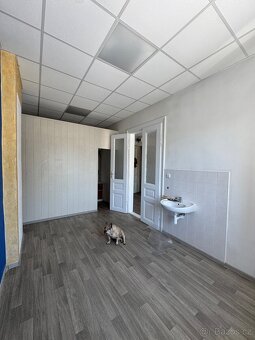 Pronájem komerčních prostor, kosmeticky salon - 4