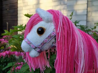 Hobby horse - 4