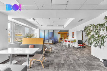 Pronájem kancelářských prostor 510 m², ulice Průmyslová, Chr - 4