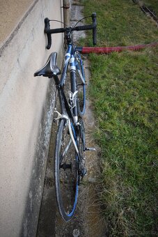 Silniční kolo Wheeler Route 51, vel 58 - 4