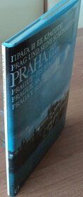 Praha, její krásy - 4