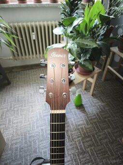 Ibanez AAMC50 - 4