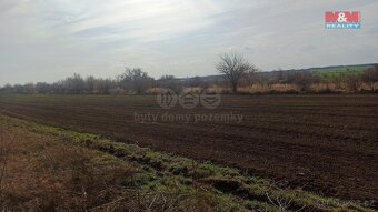 Prodej ovocného sadu, 5910 m², Pasohlávky - 4