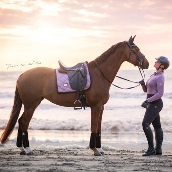 Equestrian Stockholm Anemone DL a VS - 4