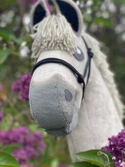 Hobby horse - 4