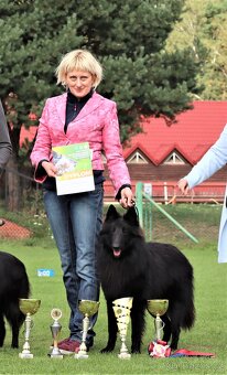 Belgický ovčiak groenendael FCI s PP po šampiónoch - 4
