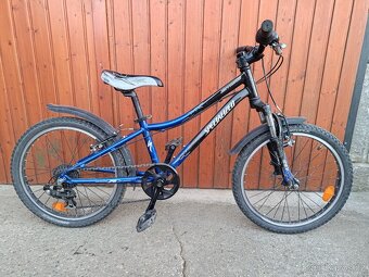 Specialized hotrock 20 - 4