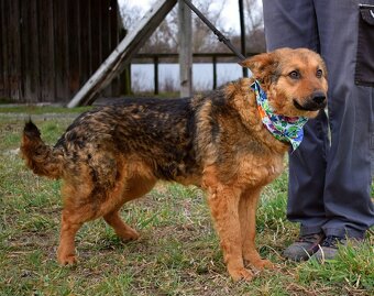 EILYN K ADOPCI - 1 ROK, KLIDNÁ, ODDANÁ, MILÁ - 4