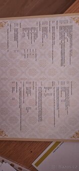 Elektrokoloběžka Chopper - Lera Scooters C2 - 4