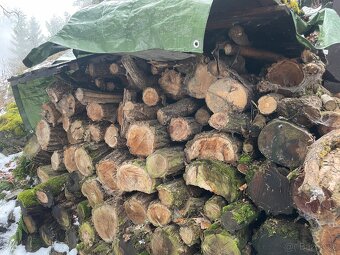 Akátové dřevo, palivové dřevo, klády, 2. roky sušené - 4