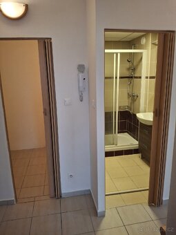 Pronájem bytu 3+1,J.Hradec - 4