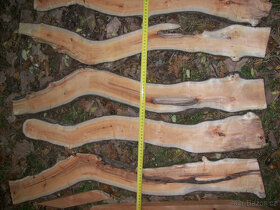 řešetlák počistivý, prkna, latě a hranoly..... - 4