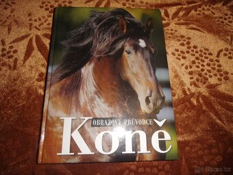 Knihy o konich - 4