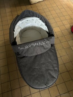 Baby design husky 2016 - 4