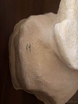 Terárium 100x50x50 - 4