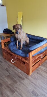 Postel pro psa se šupletem - 4