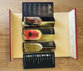 Bible Dalí - 4