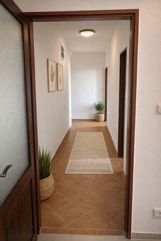 Pronájem bytu 3+kk - 4