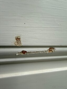 Historické dveře - 4