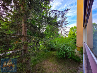 Pronájem prostorného bytu 1+kk (40,2 m2) s lodžií a sklepem, - 4
