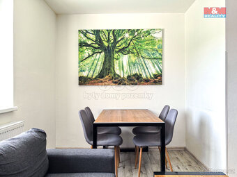 Pronájem bytu 3+kk, 64 m², Dolní Dobrouč - 4
