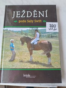 Koně ježdění westernové ježdění péče - 4