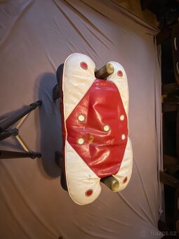 Starožitnosti (Knihy,obrazy,nádobí,Africké věci) - 4