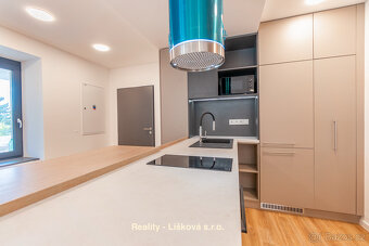 Pronájem luxusně zrekonstruovaného Atelieru 1kk ve vile Anna - 4