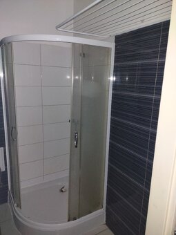 Pronájem bytu 1+KK - 4