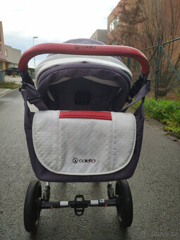 coletto - 4