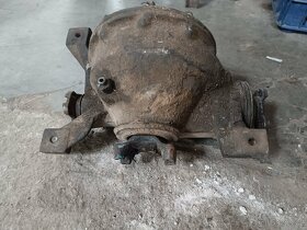Mutt - 4