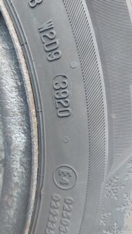 Barum Polaris 5 165/70 R13 - 4