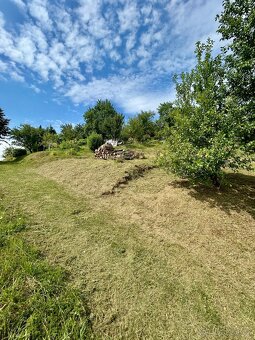 Prodej zahrady 399 m² – Napajedla (Svatojanky) - 4