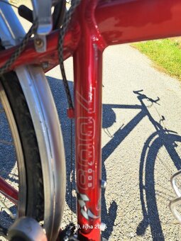 Dámské kolo MAXBIKE - 4