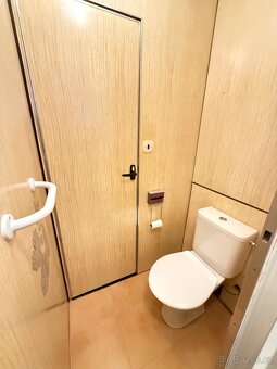 Pronájem bytu 2+1 v Klatovech - 4