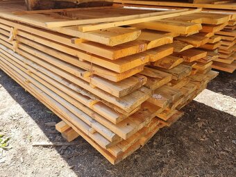 MODŘÍNOVÁ SUCHÁ PRKNA 30x170x5000 - 4