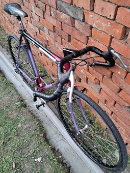 Winora Terra XC - 4