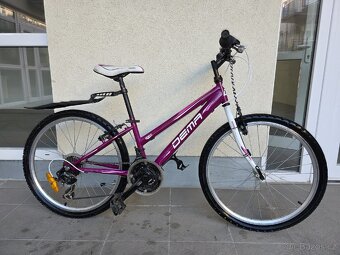 Dívčí kolo Dema - 4