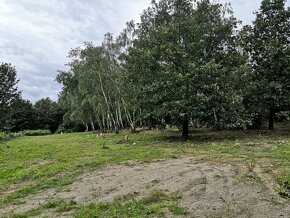 Exkluzivní pozemek polosamota - 4