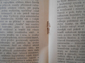 Šteidler - Ideový a vojenský význam československých legií - 4