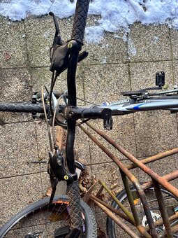 Kolo Giant Rincon - 4