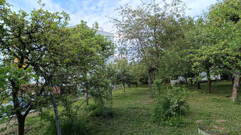 Dlouhodobý pronájem zahrady - 4