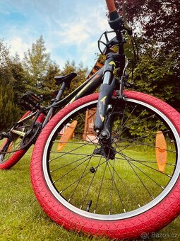 Scott Scale Jr 20 - 4