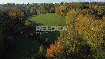 Pronájem rozlehlé louky, Ježdíkova skála, 27014m2, Těptín, P - 4